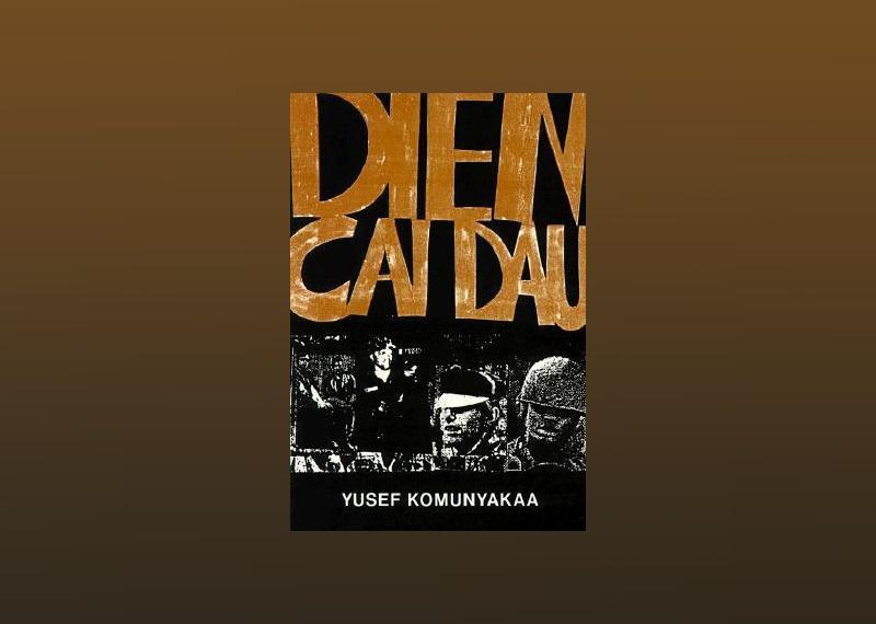 Dien Cai Dau