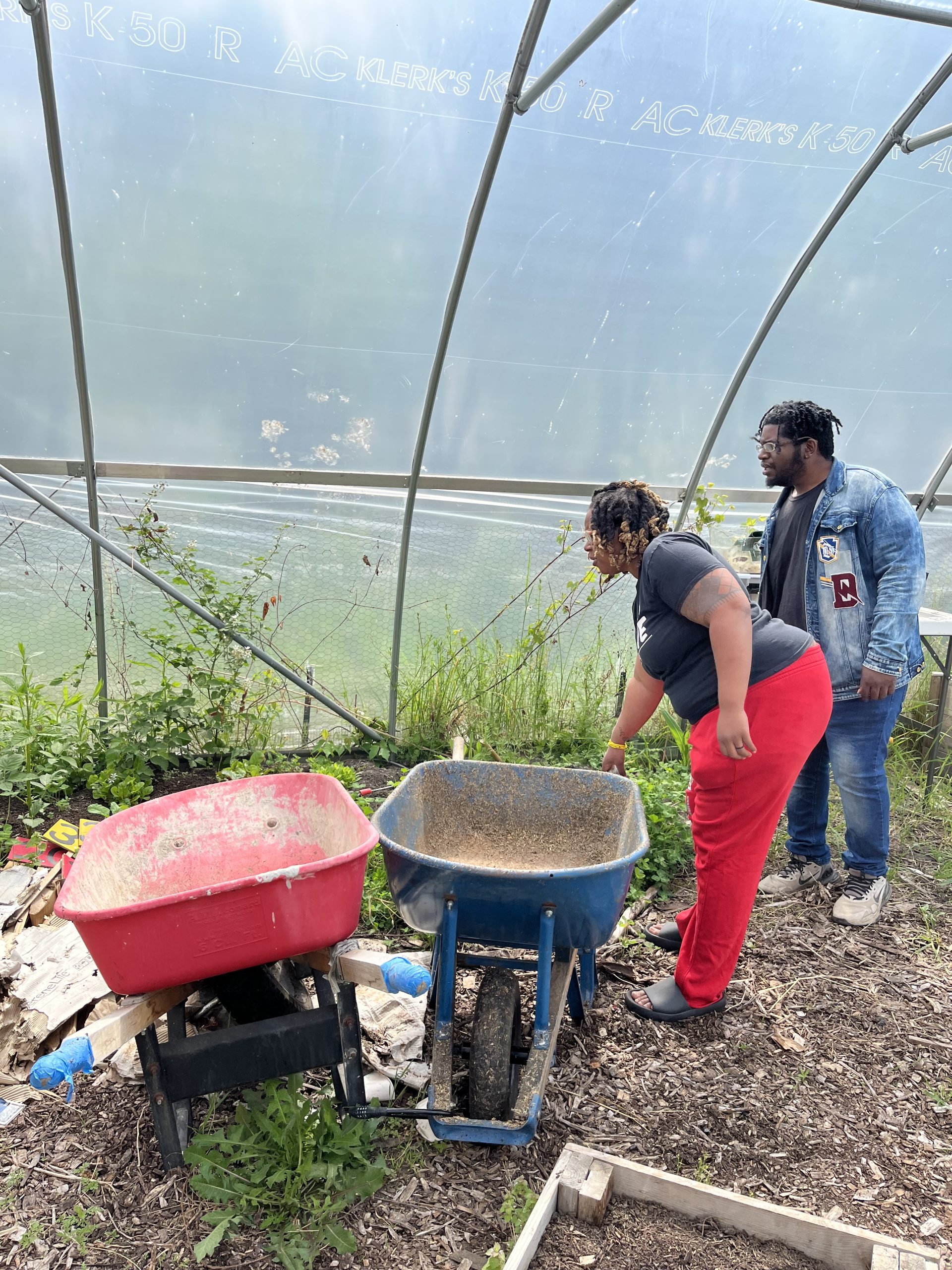 Greenhouse with wheelbarrows